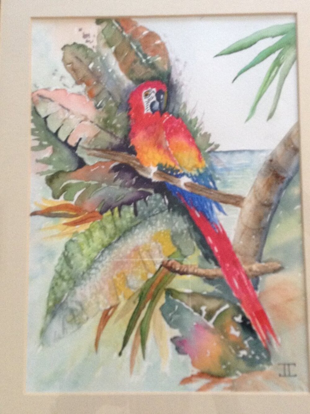 Original Watercolor Framed Signed monogrammed Single Scarlet Macaw Beach Vibes
